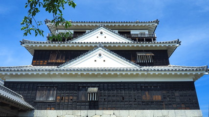 Fototapeta premium 松山城１０