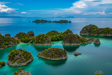 Waigeo, Kri, Mushroom Island, group of small islands in shallow blue lagoon water, Raja Ampat, West Papua, Indonesia