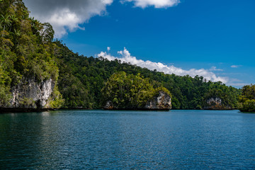 Waigeo, Kri, Mushroom Island, group of small islands in shallow blue lagoon water, Raja Ampat, West Papua, Indonesia