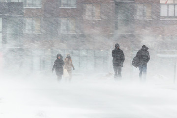The blizzard, strong wind, sleet, against the background of houses blurred silhouettes of people, they try to hide from bad weather, overcome all difficulties of severe climate. go to the bus stop - obrazy, fototapety, plakaty