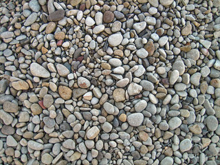 Endless dry sea pebbles, texture, background.