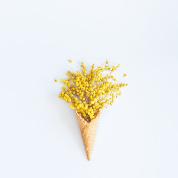 Flowers composition. Mimosa flowers in waffle cone. Flat lay, top view, square