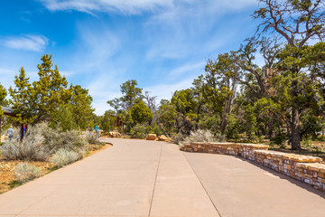 Path along green vegetation in Grand Canyon Village. Arizona, USA