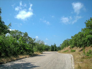 Fototapeta na wymiar A narrow asphalt road on a hot Sunny day past evergreen trees and sun-scorched grass.