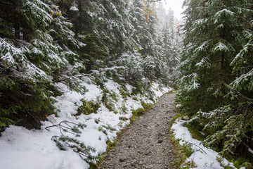 wet damp hiking tourist trail with snow leftovers on the sides