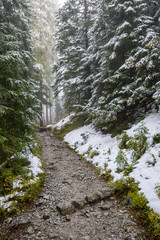 wet damp hiking tourist trail with snow leftovers on the sides