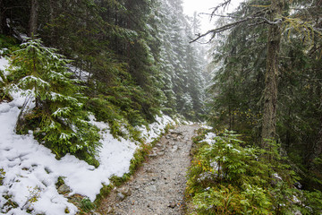 wet damp hiking tourist trail with snow leftovers on the sides