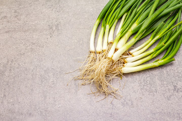 Fresh greens on a stone background