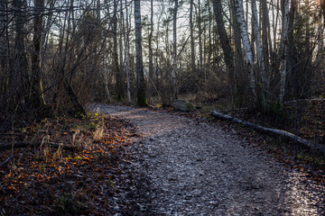 wet damp hiking tourist trail with snow leftovers on the sides