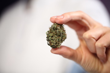 doctor hand hold and offer to patient medical marijuana and oil. Cannabis recipe for personal use, legal light drugs prescribe, alternative remedy or medication,medicine concept