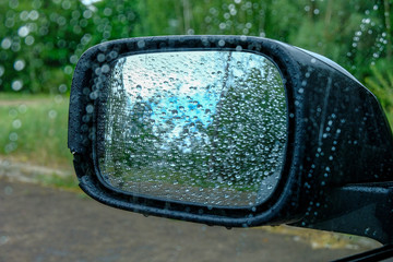car rear view mirror in wild nature