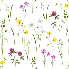 Seamless floral wildflowers pattern. Hand drawn watercolor - 272324063