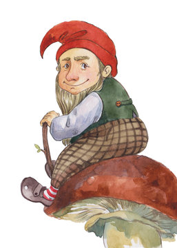 watercolor dwarf