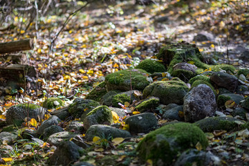 large rock in sand in countryside