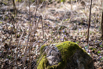 large rock in sand in countryside