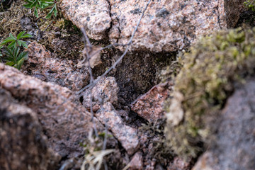 large rock in sand in countryside
