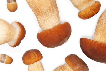Boletus edulis mushrooms on white