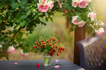 A beautiful garden with blooming roses, tasty wild strawberries and a chair.