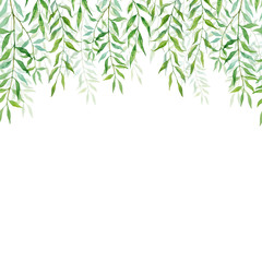 Horizontal Seamless background with branches and leaves of willows. Hand painted branches and leaves on white background. Natural leafy card design