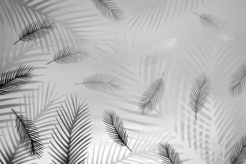Abstract gentle romantic pattern with feathers in black and white colors. 3d illustration.