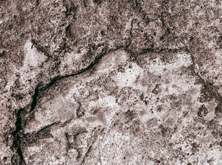 concrete texture closeup