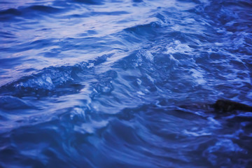 Fototapeta premium 早朝の波