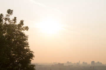 Panorama of Moscow Russia in the summer at dawn