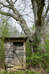old outhouse in the forest