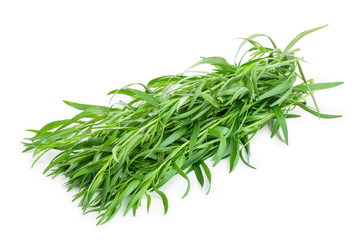 tarragon or estragon isolated on a white background. Artemisia dracunculus