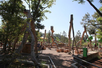 Sky Walk Forest at Tulsa's Gathering Place Park