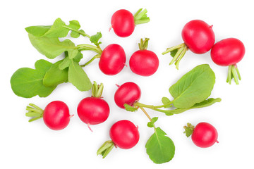 fresh whole radish isolated on white background. Top view
