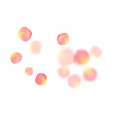 Rose gold petals flying cosmetics vector background.