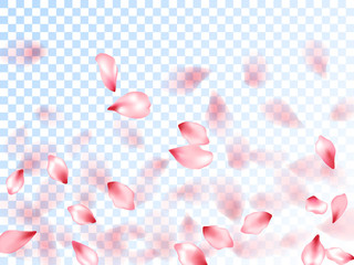 Japanese cherry petals on transparent background.