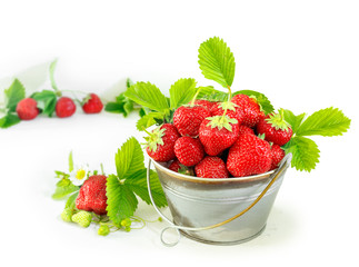 Juicy ripe tasty strawberries in  metal bucket on white wooden table.