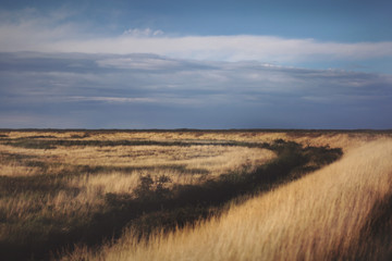 Fototapeta premium Norfolk fenlands, England