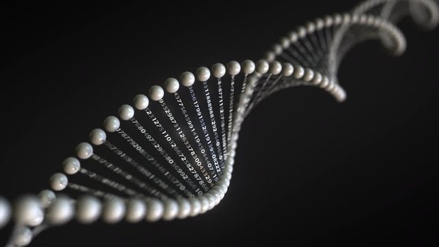 Rotating conceptual DNA molecule model with numbers sequences, loopable 3D animation