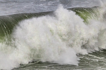 wave
