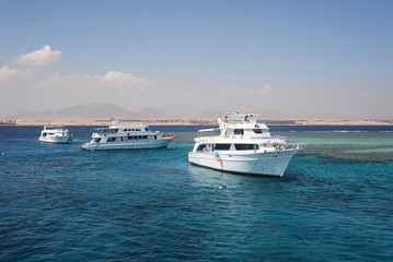 Fototapeta na wymiar yacht ship white sea red in Egypt