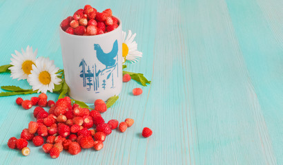 Ripe strawberries with plant leaves on blue wooden background, strawberries in white old mug, healthy food concept