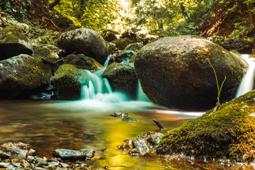 Fototapete bei efototapeten.de bestellen   