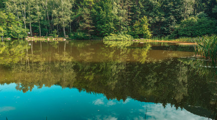 lake reflection bright day in forest in bulgaria