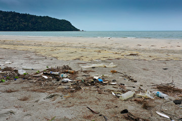 Fototapeta na wymiar Plastic pollution washes up on beach 
