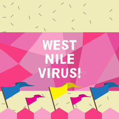 Text sign showing West Nile Virus. Conceptual photo Viral infection cause typically spread by mosquitoes