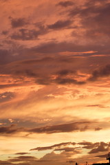 綺麗な鮮やかな夕焼けの風景