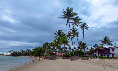 Another day in the paradise