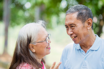 Cheerful old couple chatting in the park