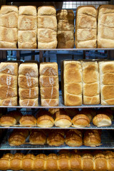 Fresh bread in a bakery for sale.