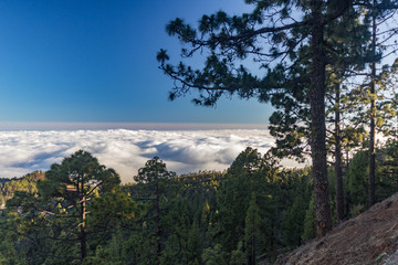 magical sunset above the clouds in the Tenerife mountains in Canary Islands