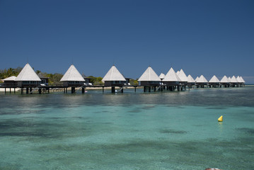 Îlot Maître Nouvelle-Calédonie