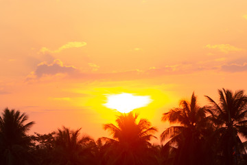 Fototapeta na wymiar Morning sun light orange hot zone.